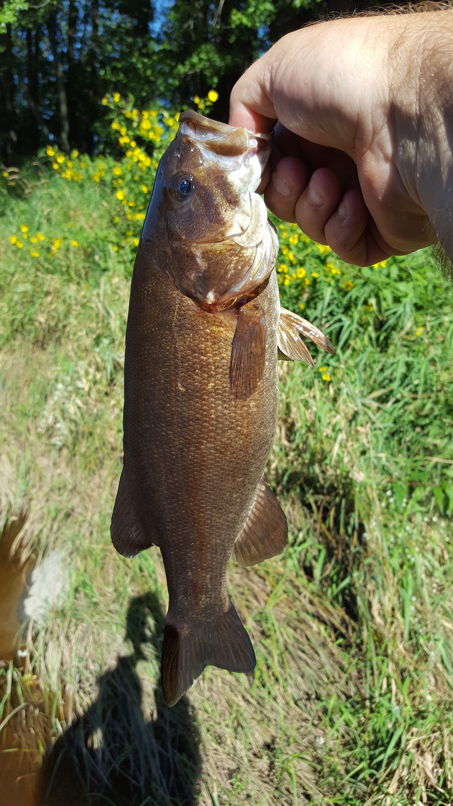 Greenwood County Park & Campground