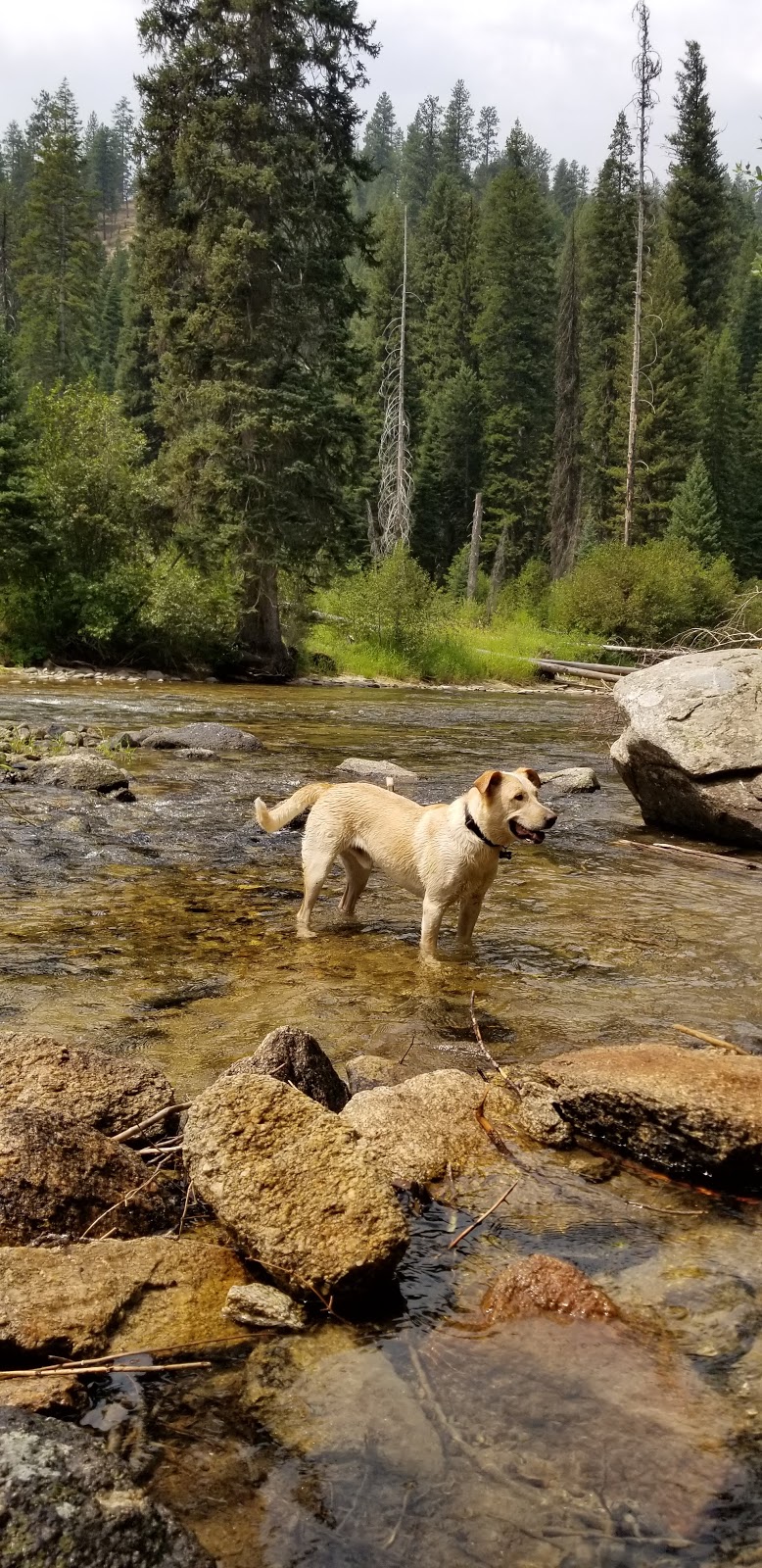 Poverty Flat Campground