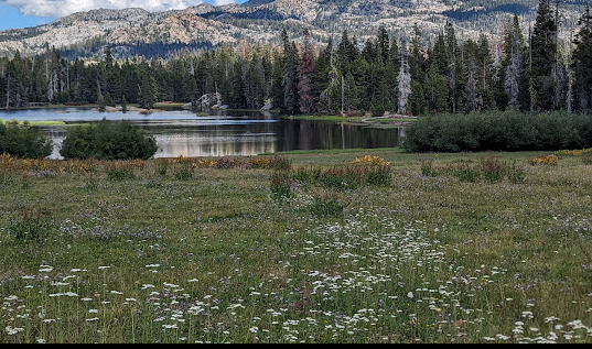 Silver Valley Campground