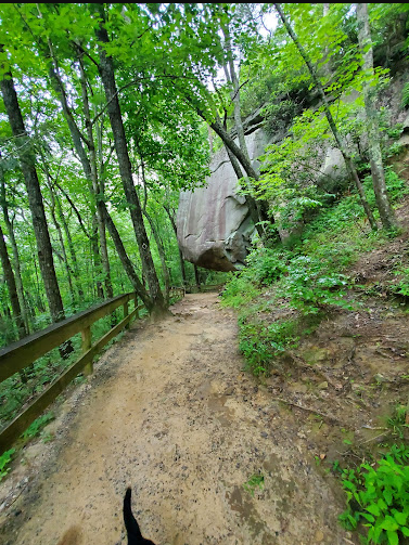 Cloudland Canyon State Park