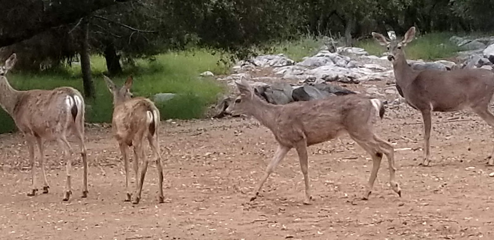 Marble Quarry RV Park