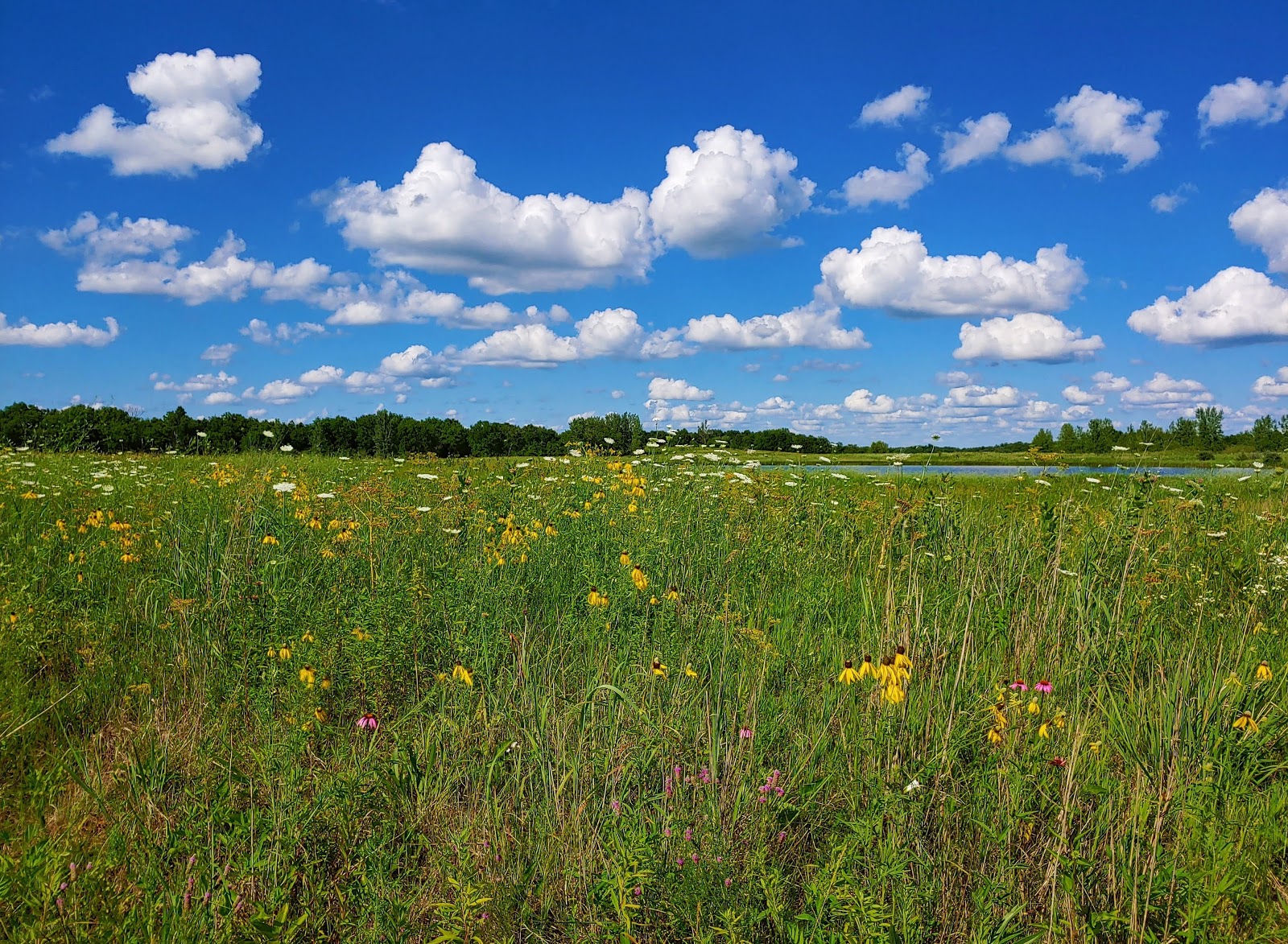 Brushy Creek State Park