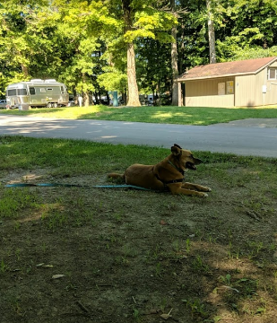 Cowan Lake State Park