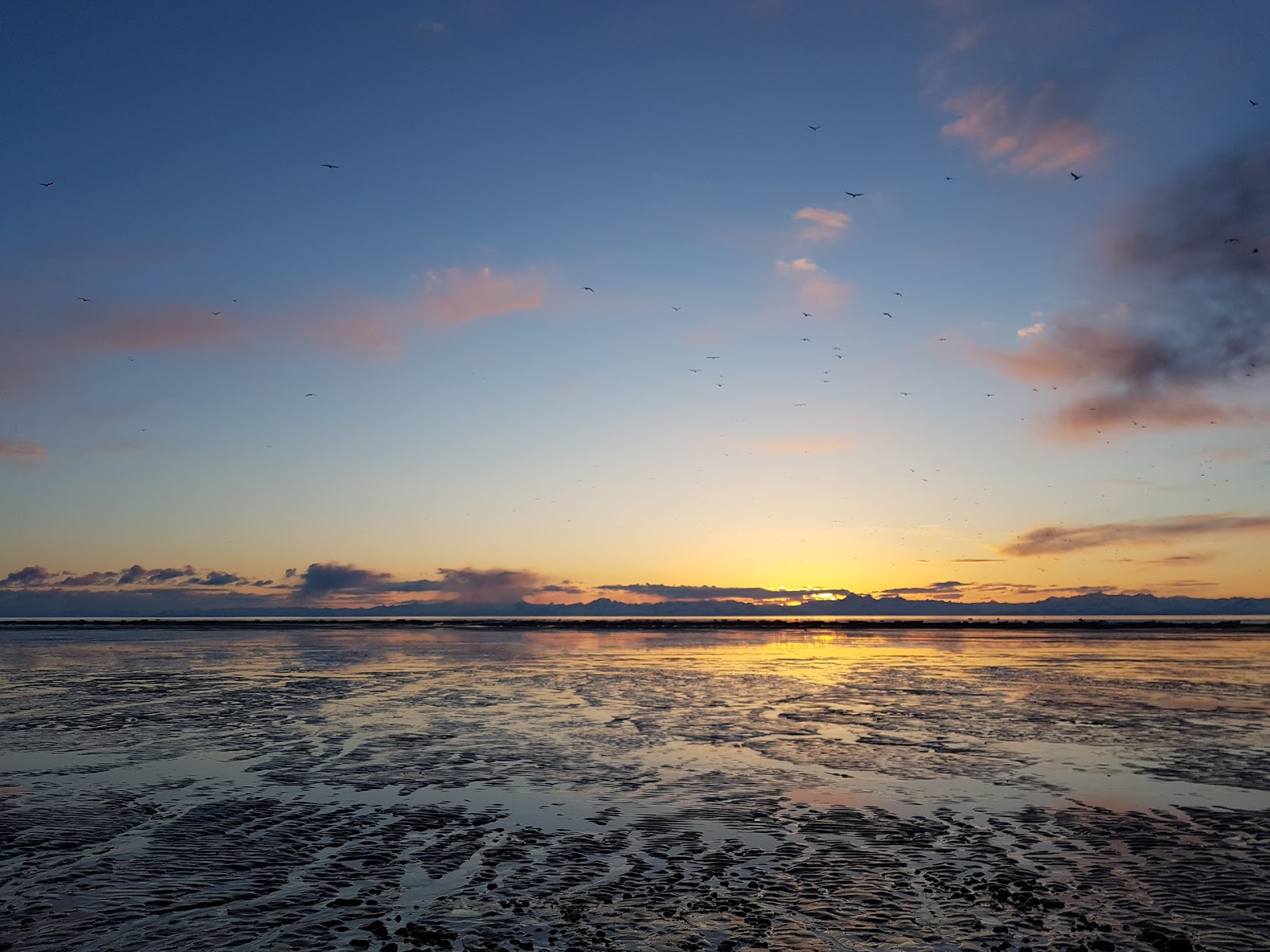Beluga Lookout RV Park