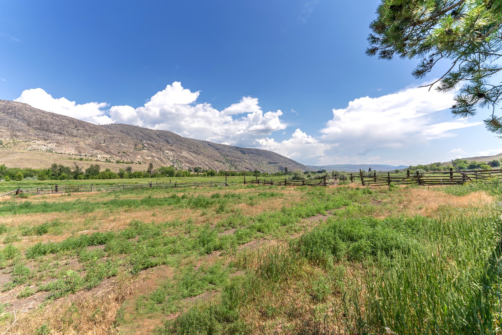 Margie's Riverside RV Park