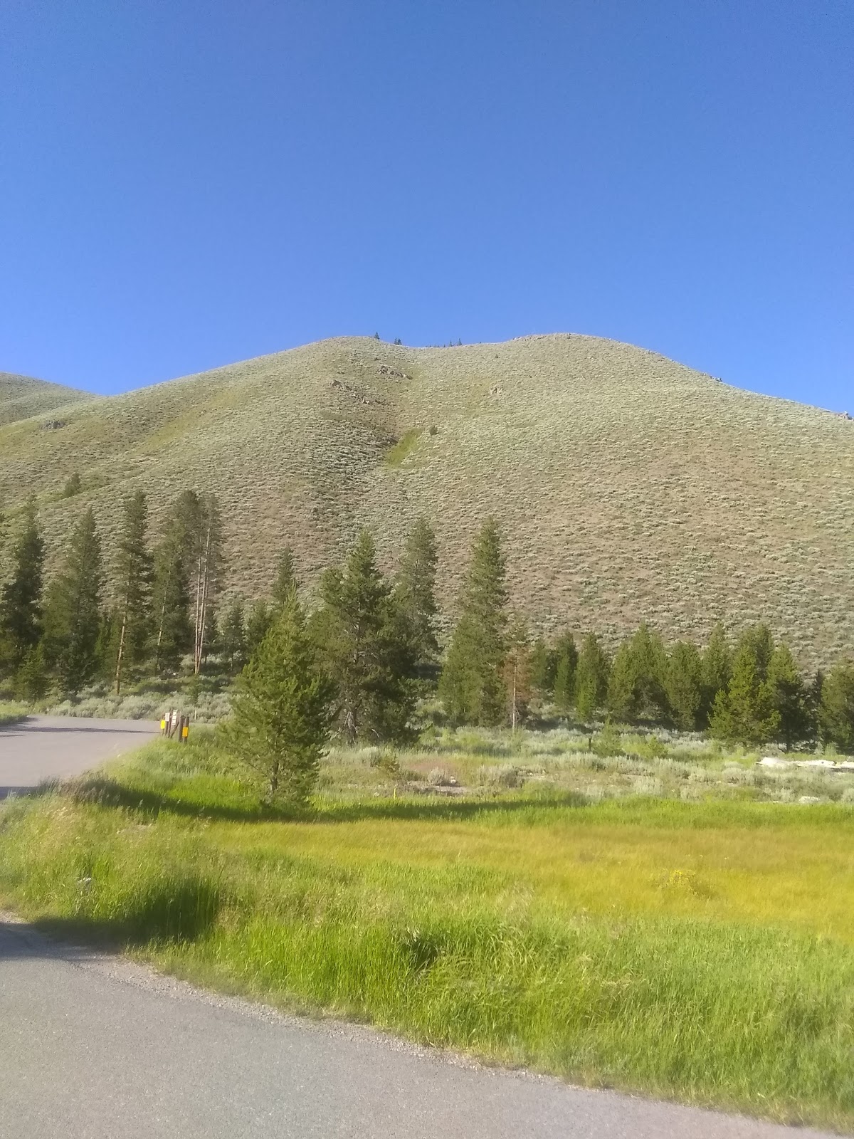 Mormon Bend Campground