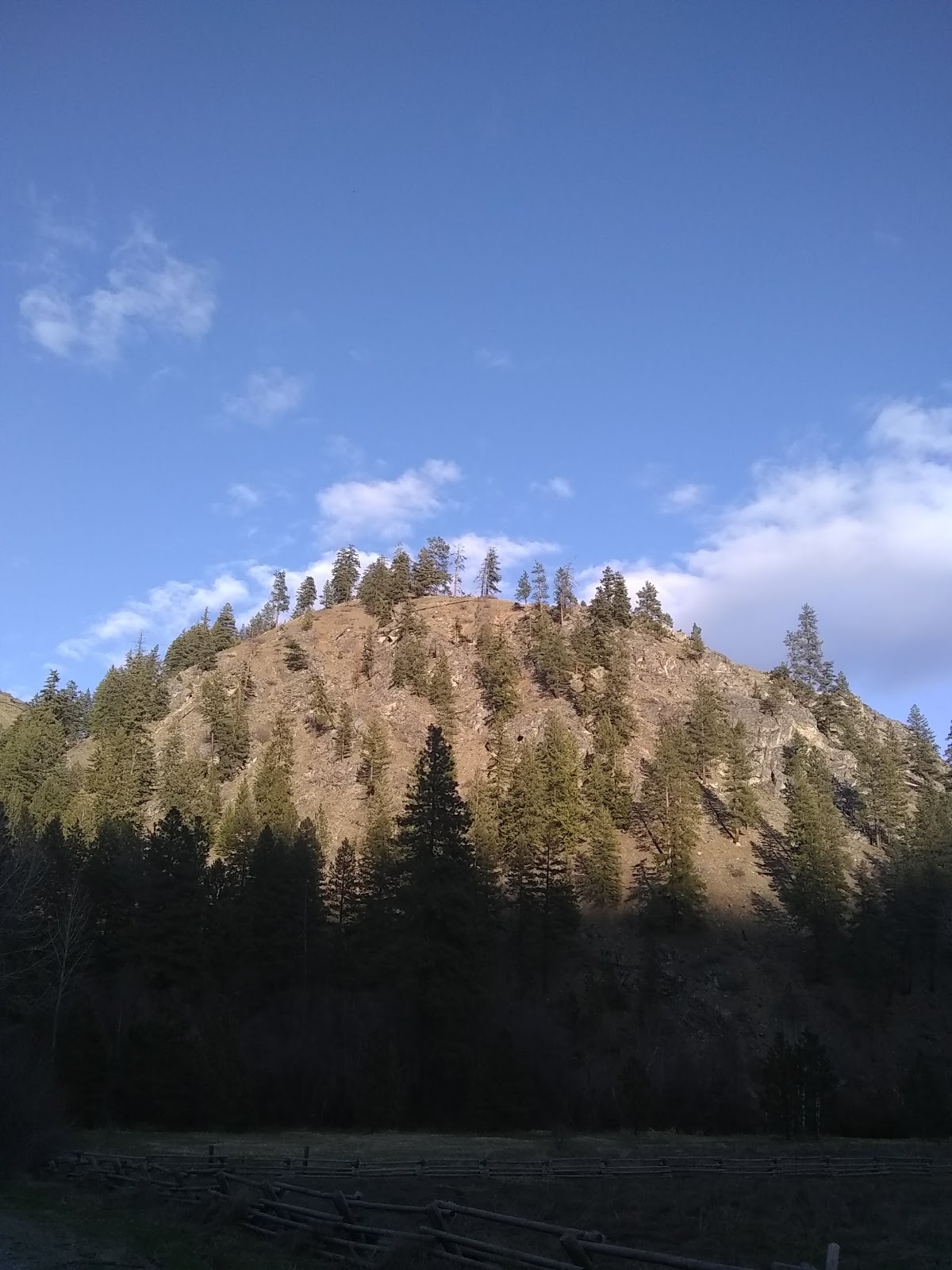 Pine Flats Campground