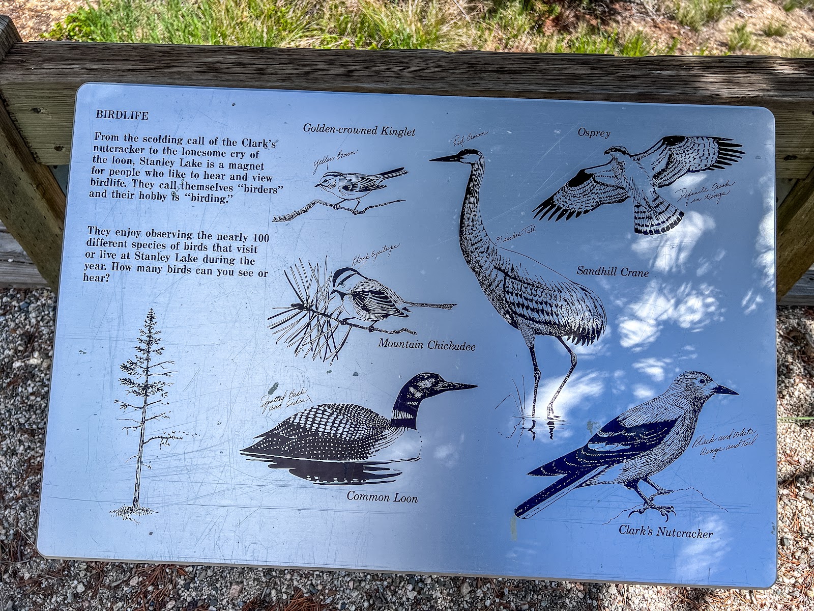 Josephus Lake Campground