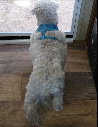 Trailer Lane Campground