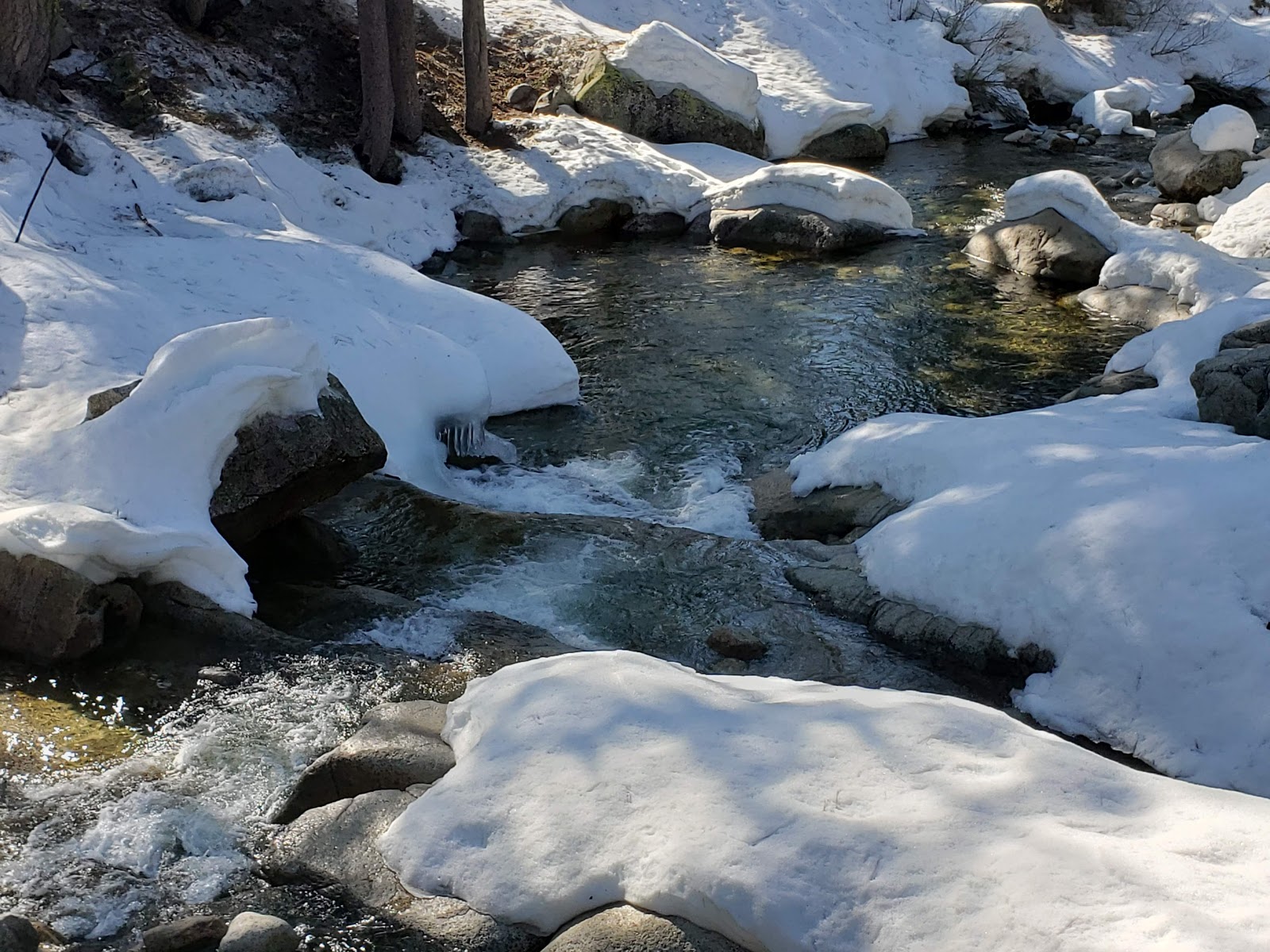 Lodgepole Campground - Sequoia National Park