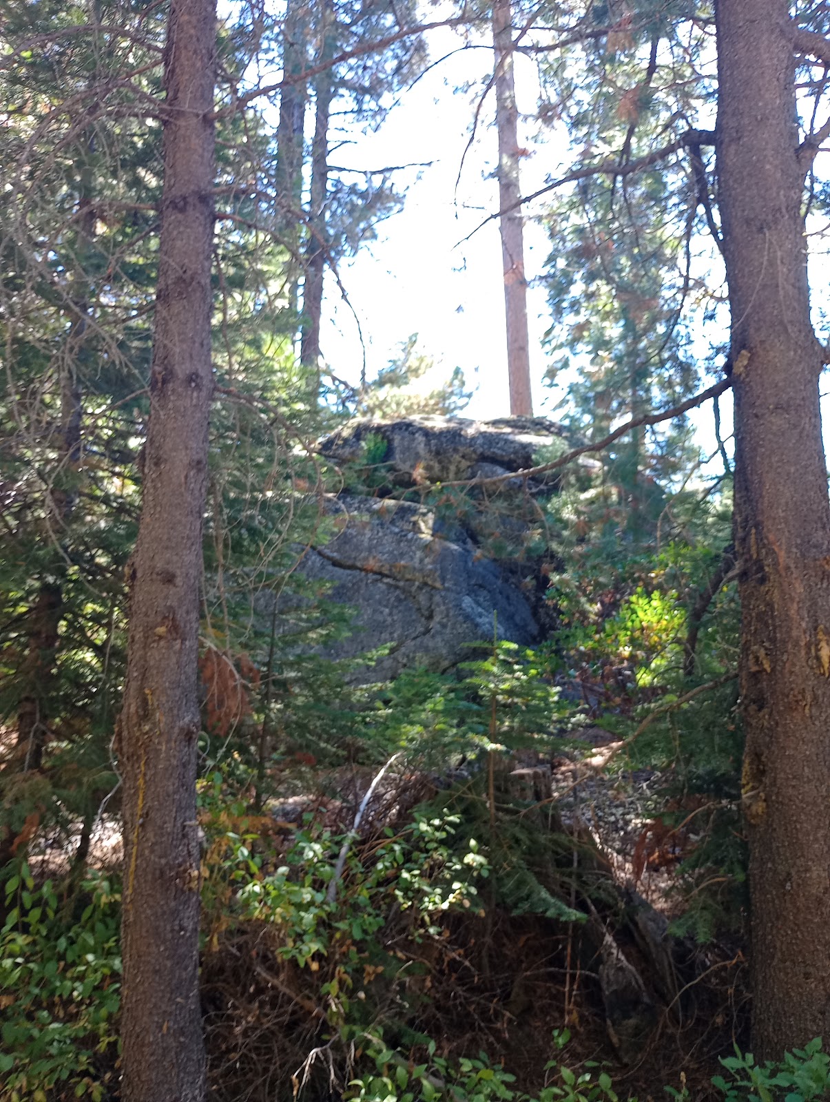 South Fork Group Campground