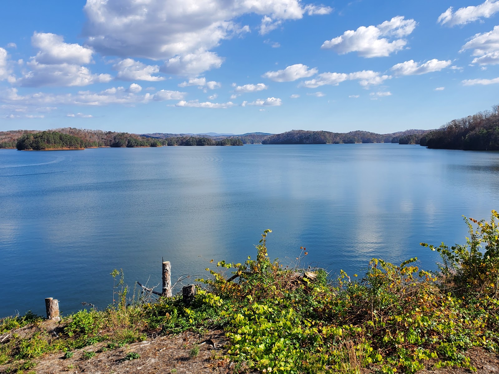 Northbank Day Use Area Shelter