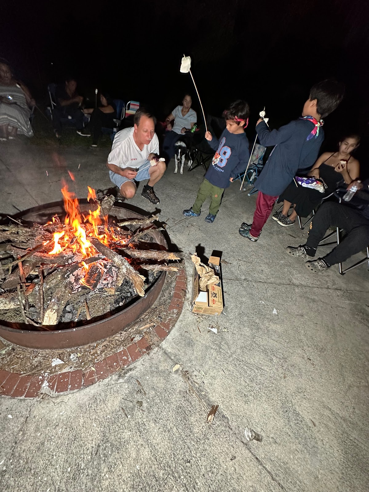 River Forest Group Site