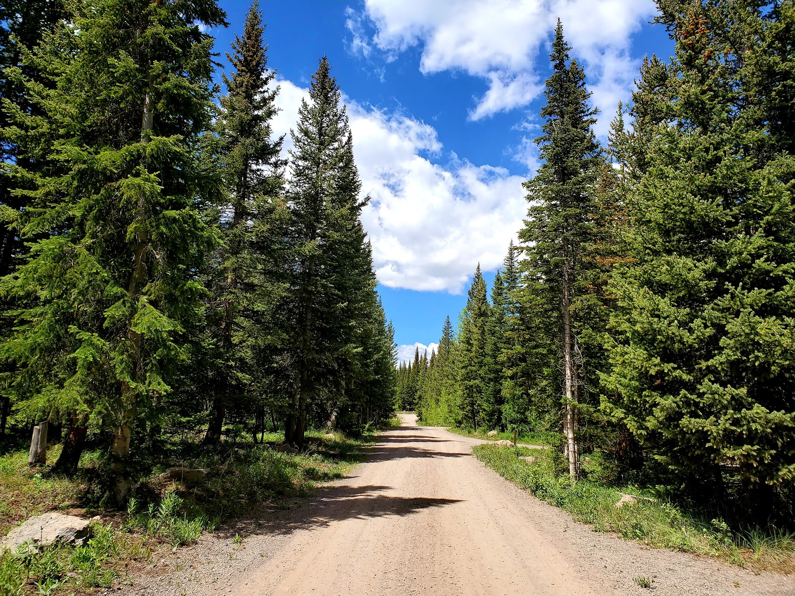 Bear Lake Campground