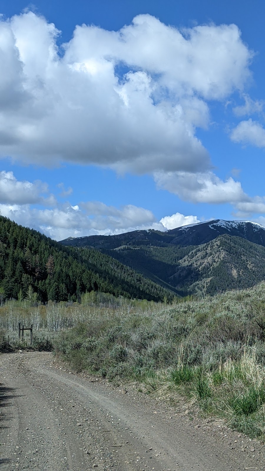 Federal Gulch Campground