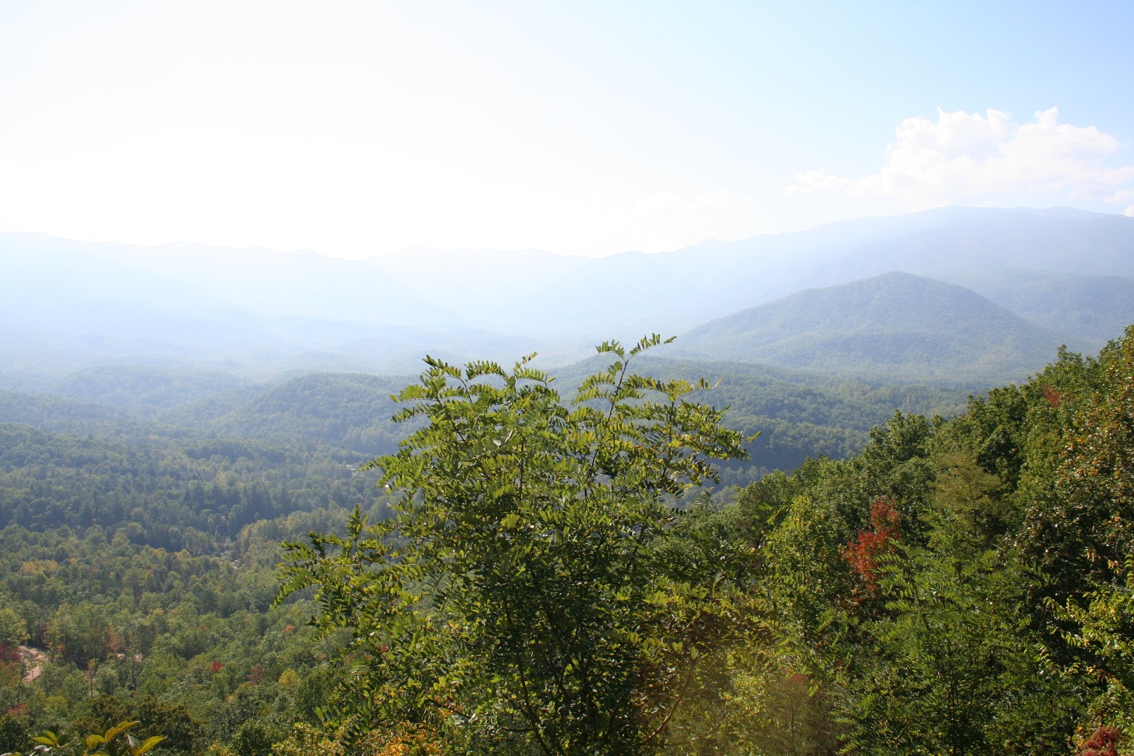 Newport-Smoky Mountains KOA