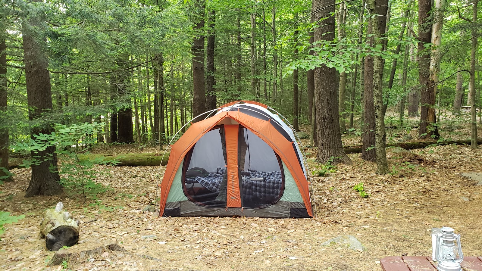 Tolland State Forest Campground