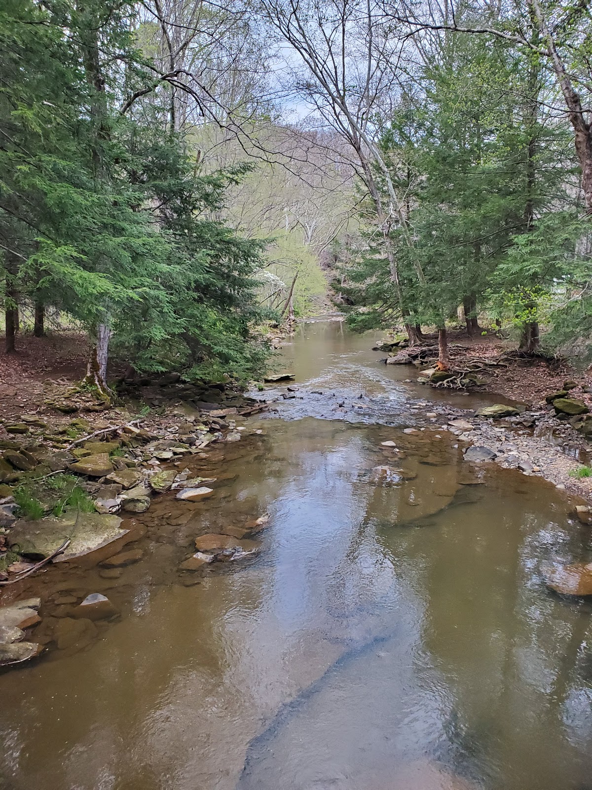 Main - Shawnee State Park