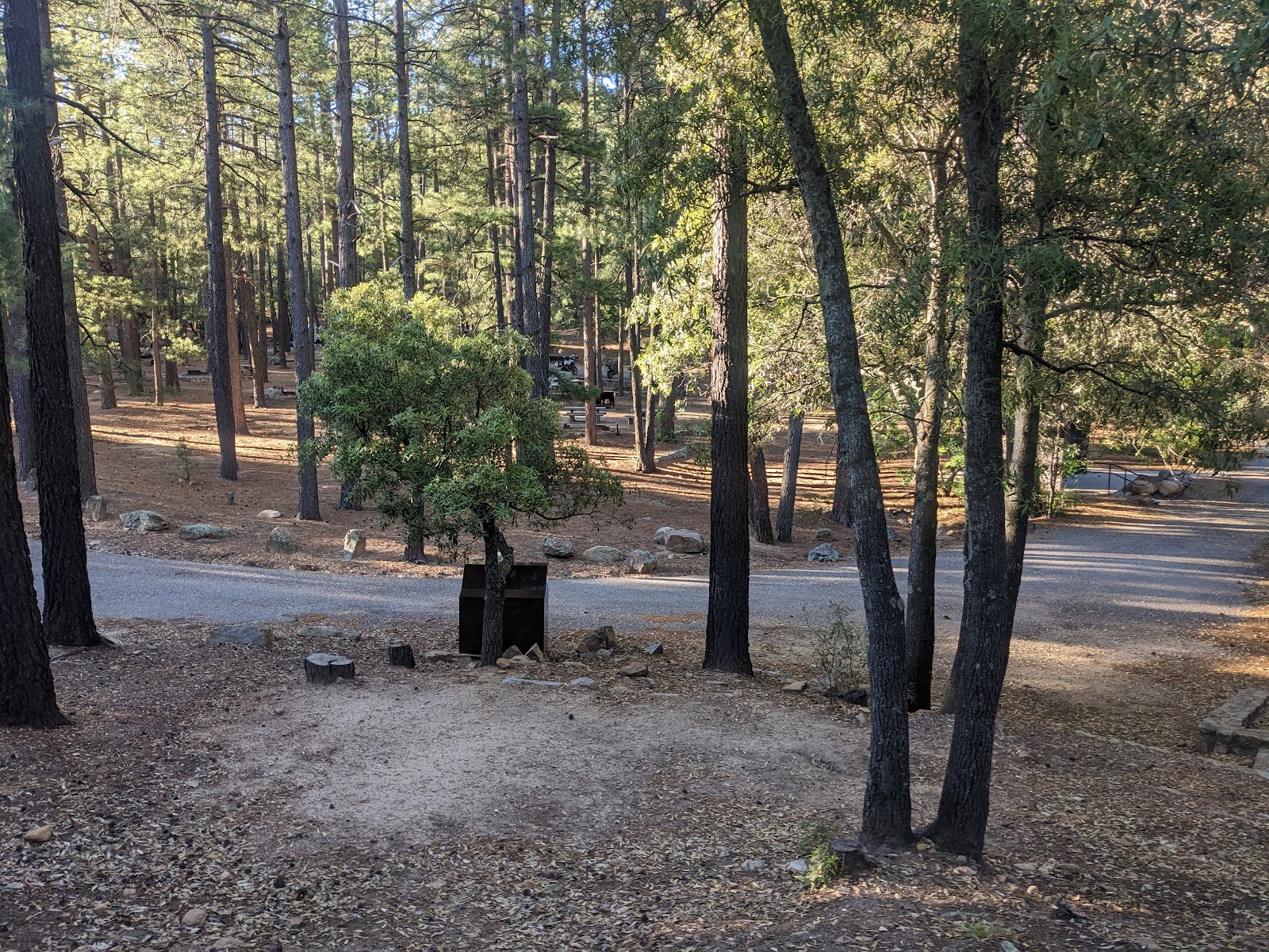 Arcadia Campground