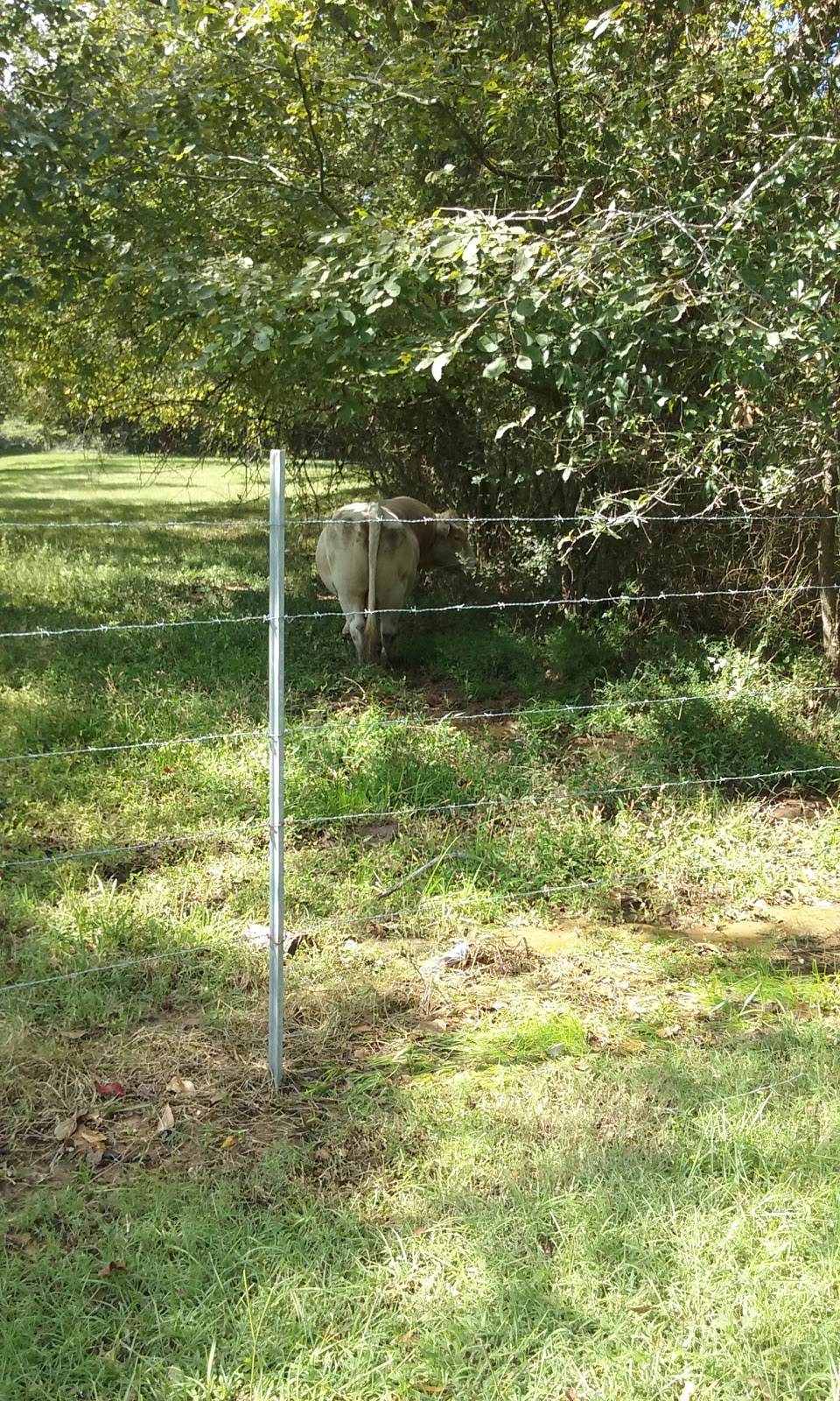 Morgans’ Landing & RV Park