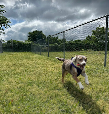 Shark Tooth RV Ranch