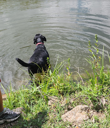 Weldon Springs State Rec Area