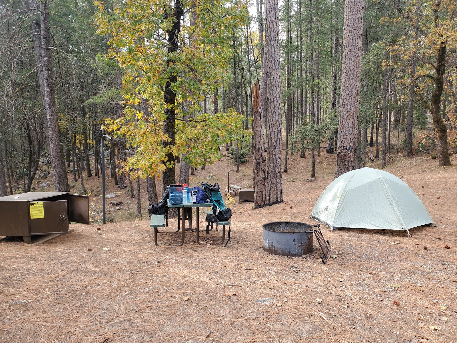 Sheep Camp Primitive Campground