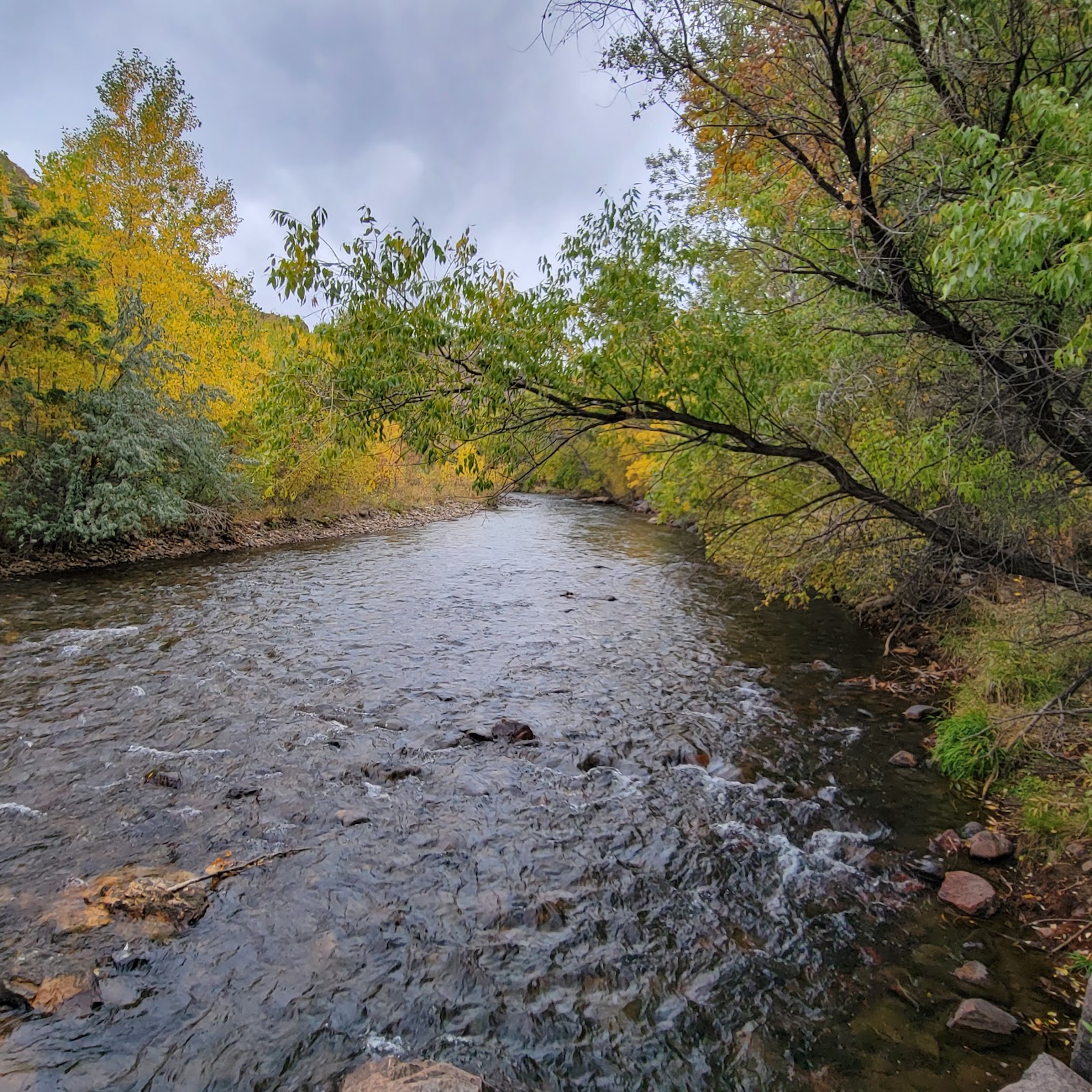 Golden Clear Creek R V Park