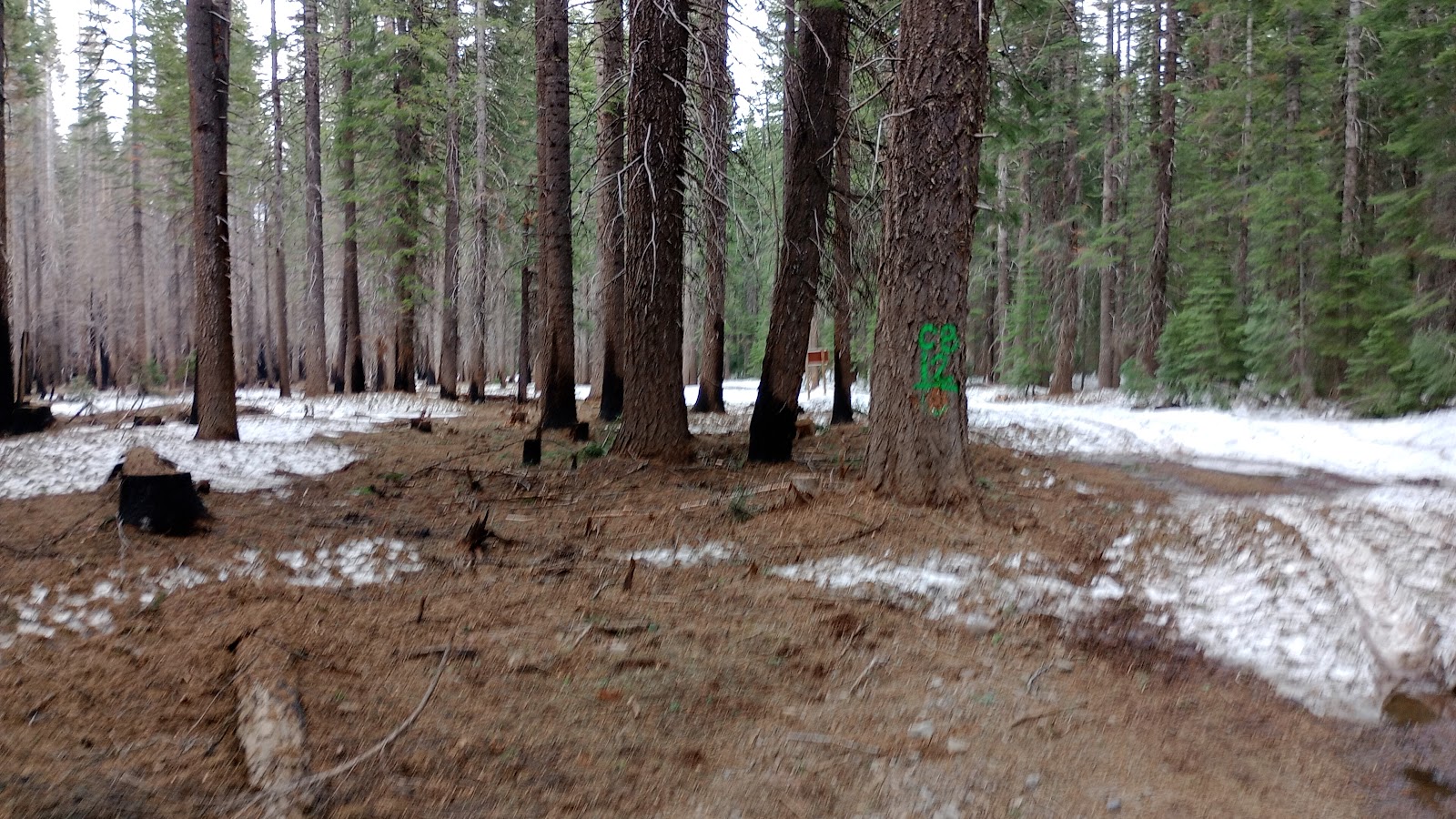 Trout Creek Campground