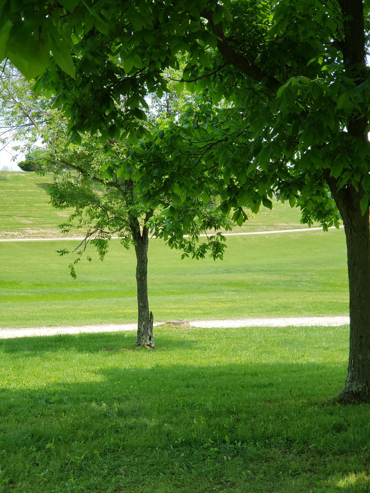 Bear Ridge Campground & RV Resort