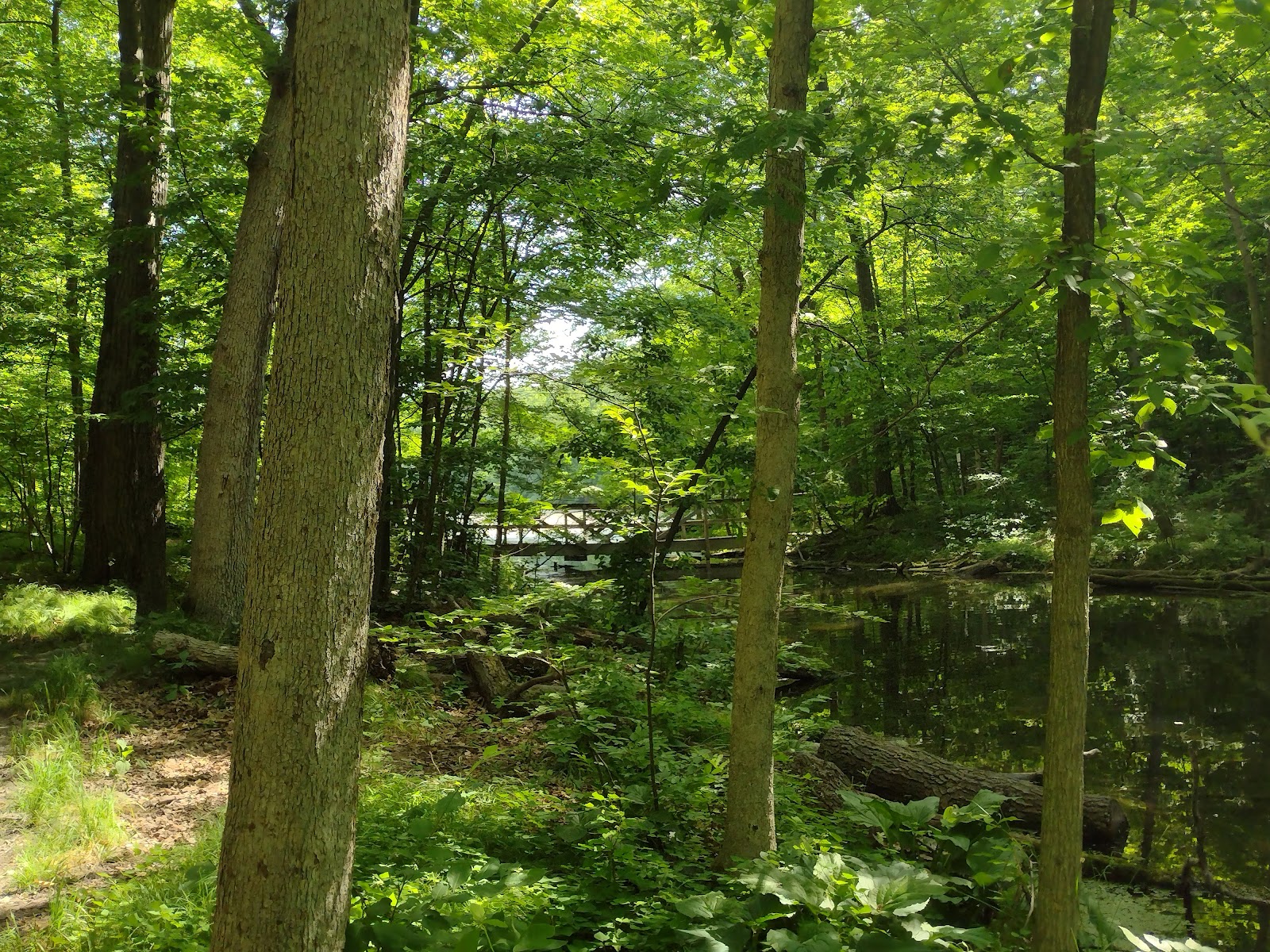 Metamora-Hadley Recreation Area