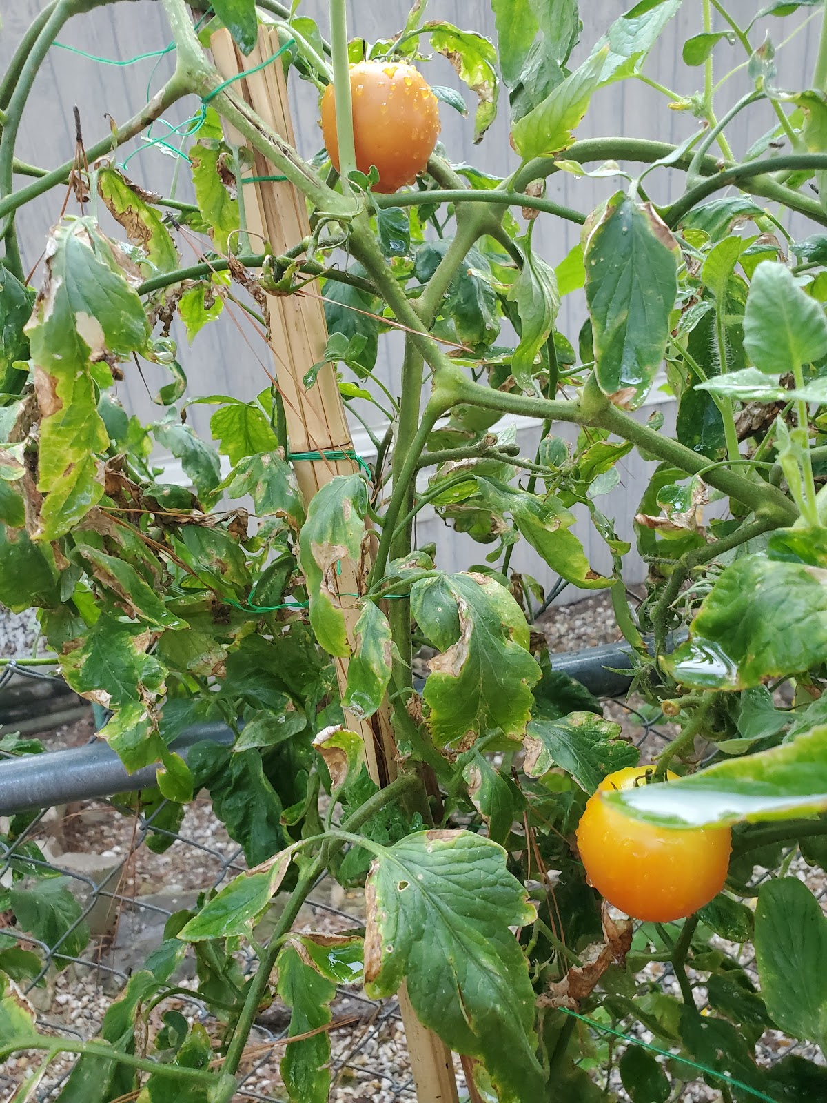 Timbercrest RV and Mobile Home Park