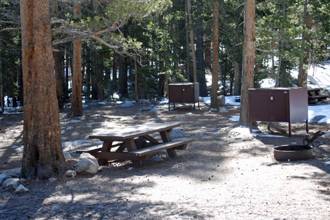 Pine Grove Campground