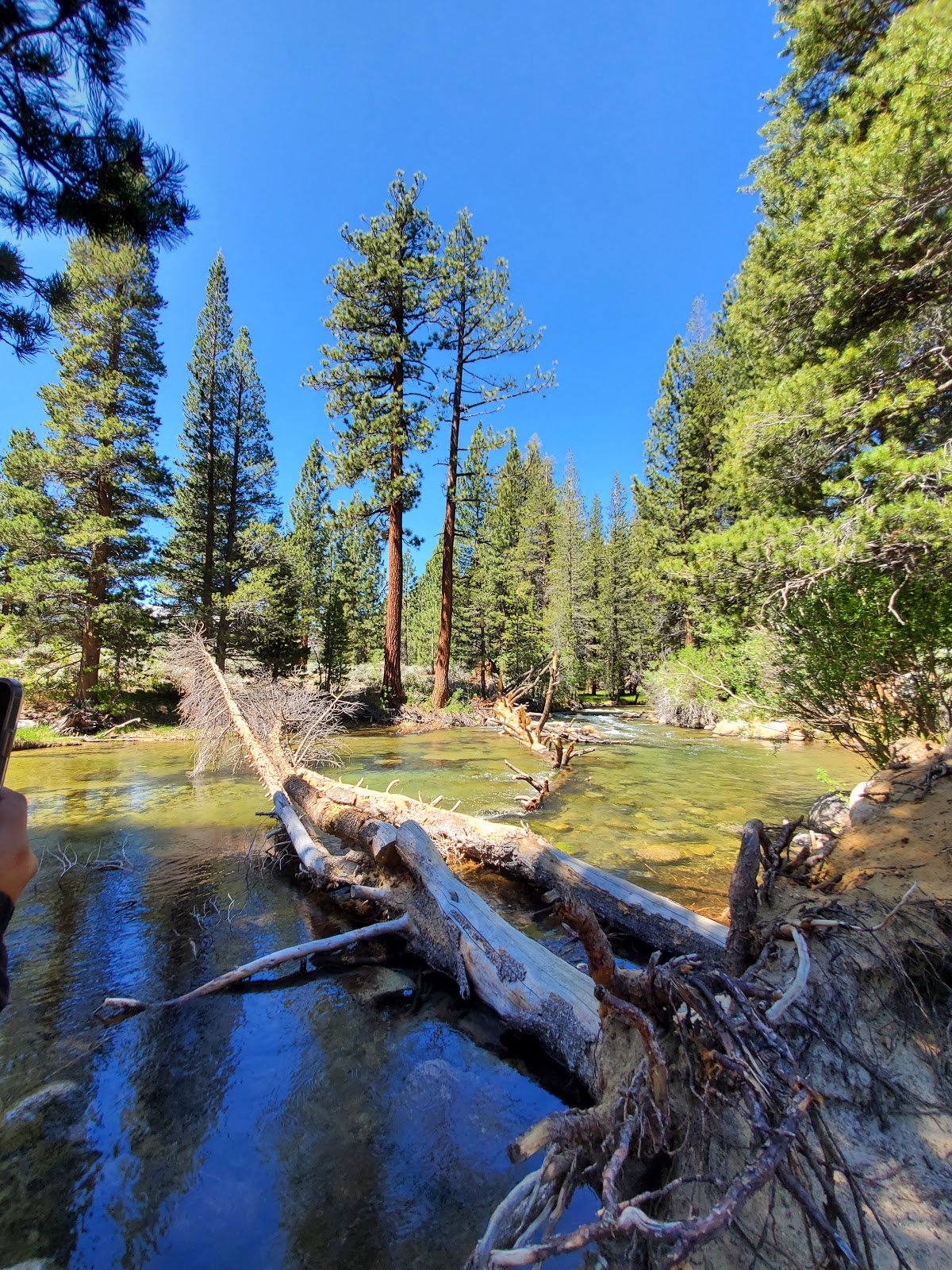 Robinson Creek Campground