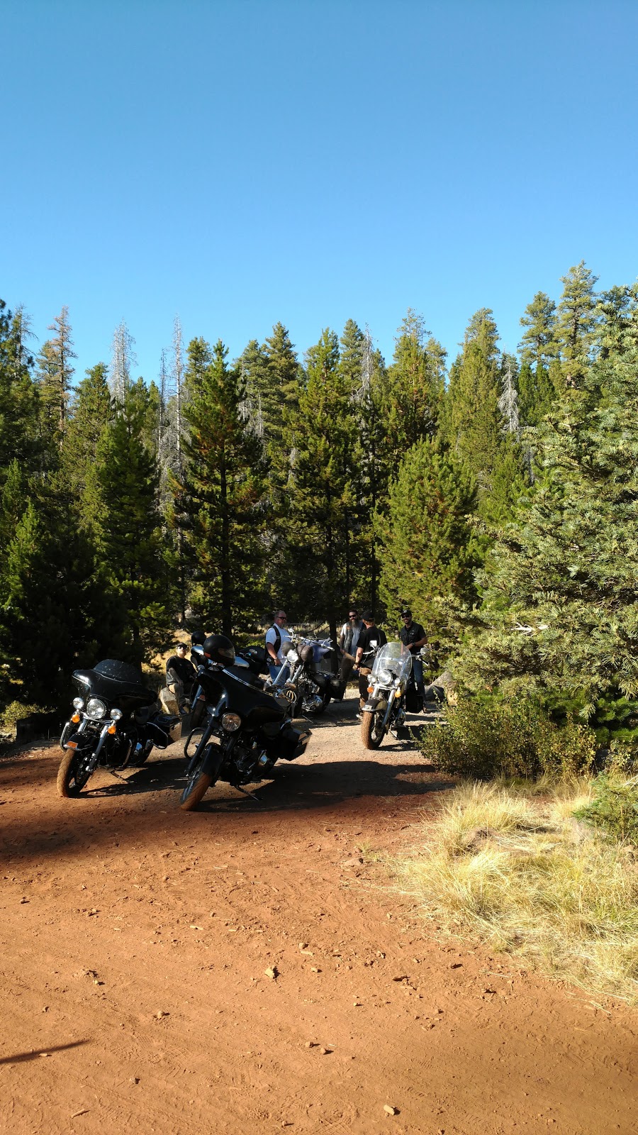 Pitchlog Creek Campground