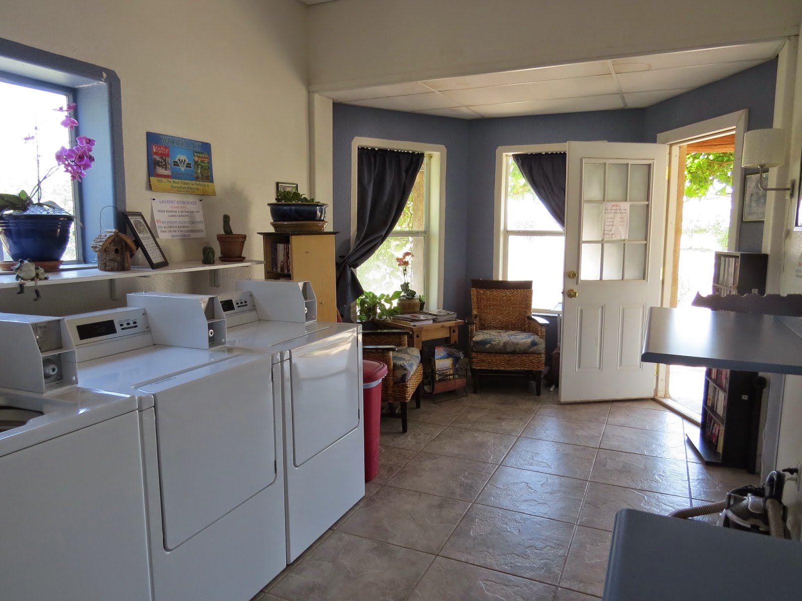 Caballos de las Estrellas