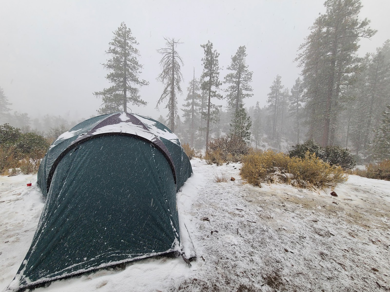 Pine Spring Campground