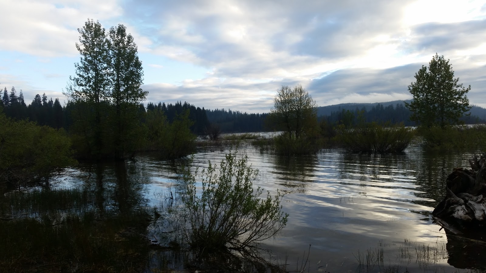 Red Feather Campground