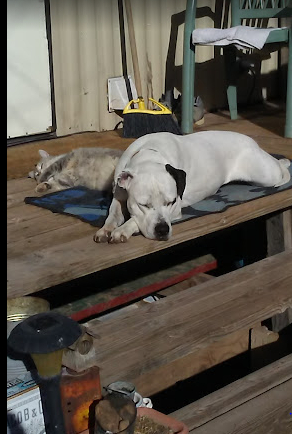 Pack Creek Campground and RV Park