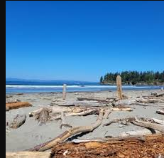 Carols Crescent Beach RV Park