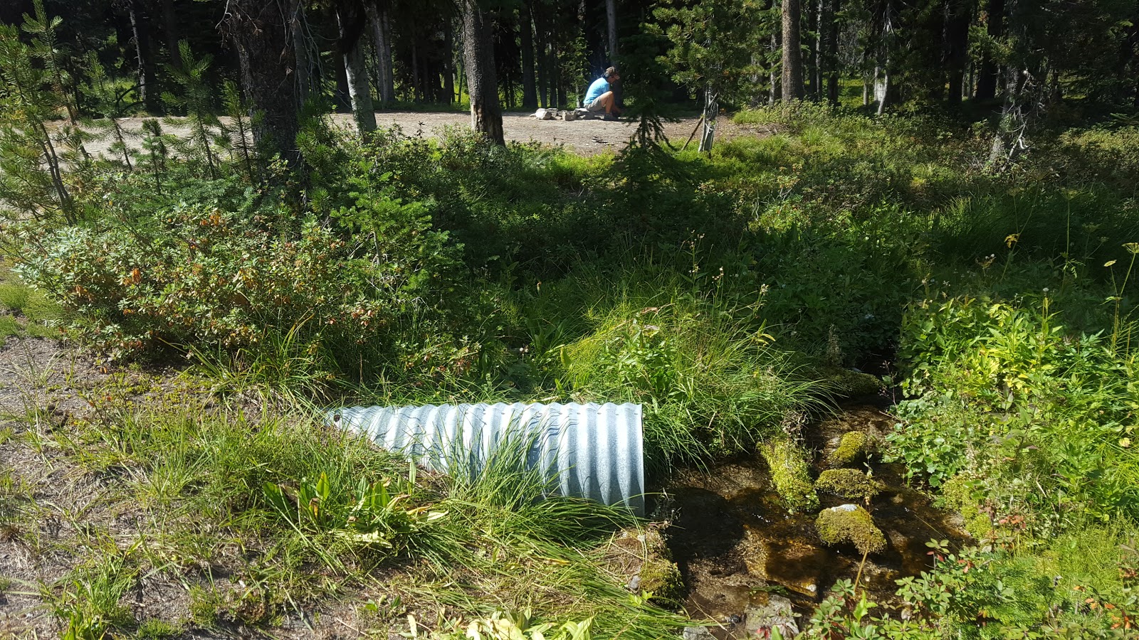 Observation Point Campground