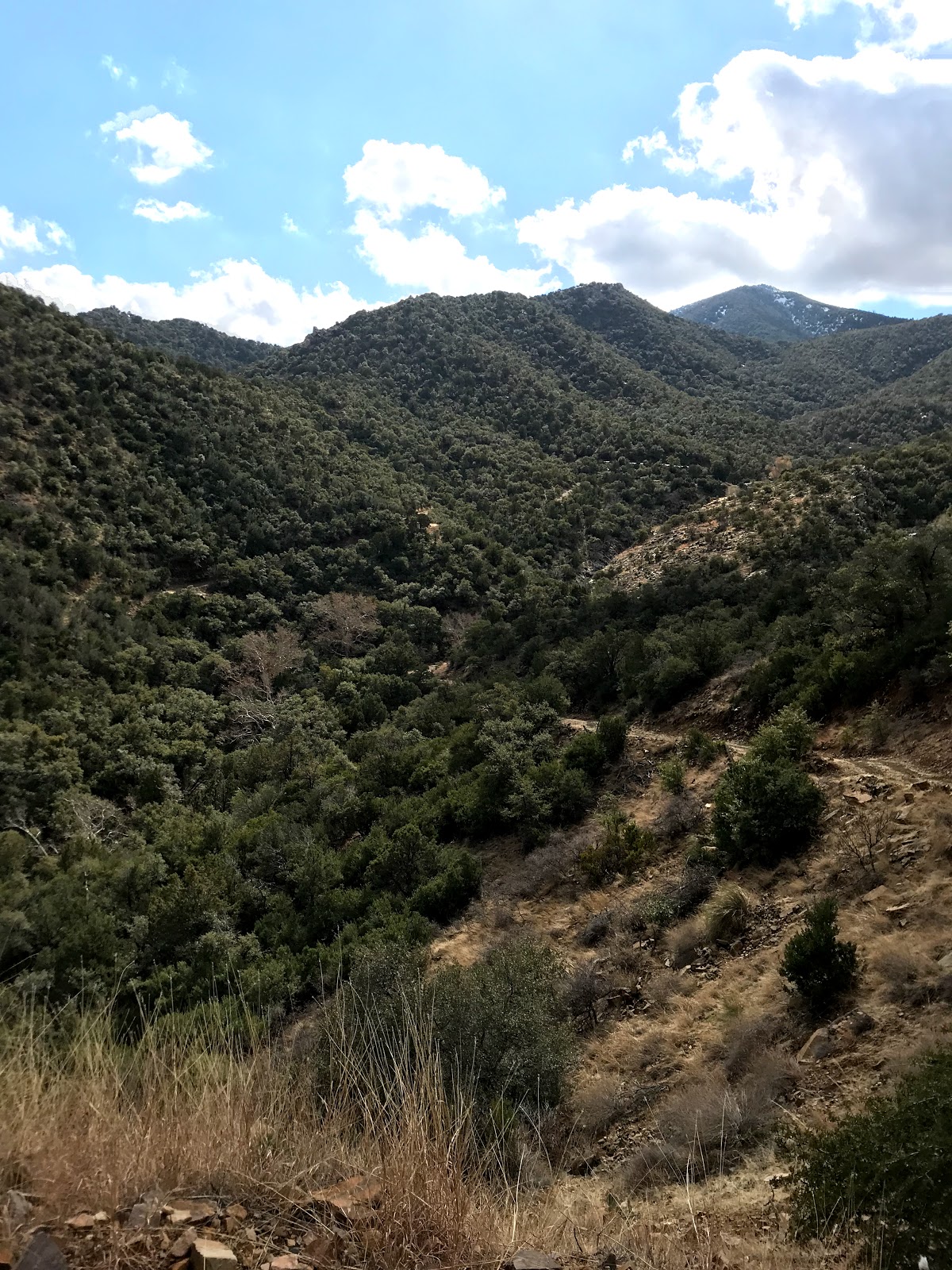 HCR Horse Ranch And RV Park