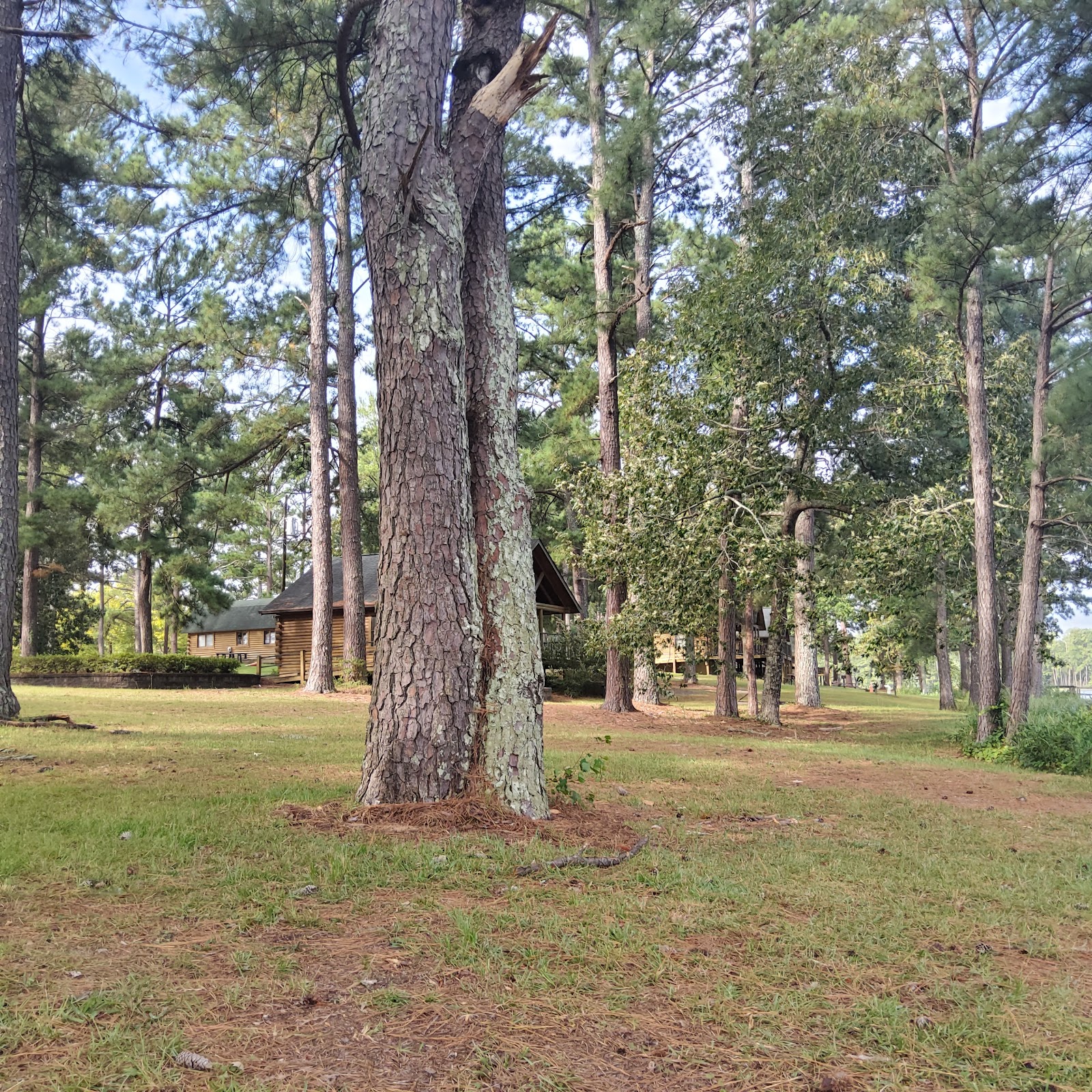 Weston Lake Recreation Area