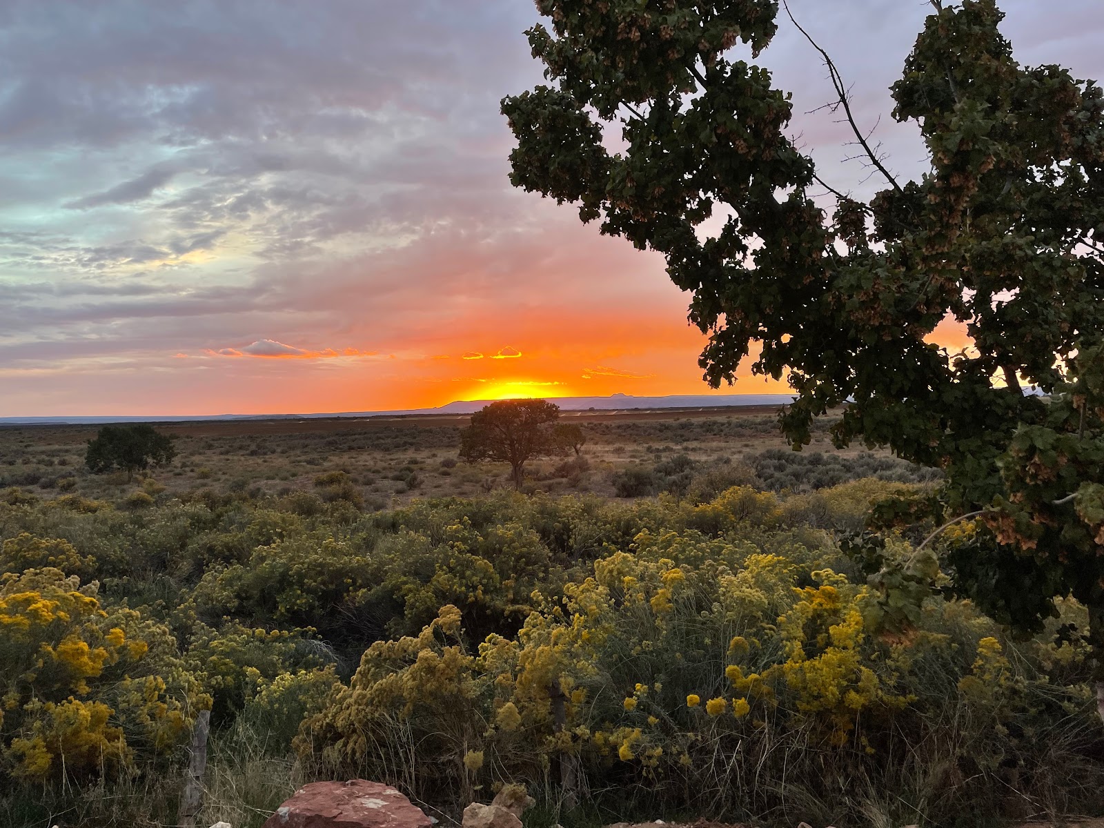 GNP--BLUE MT VILLAGE RV PARK/CMPGRD