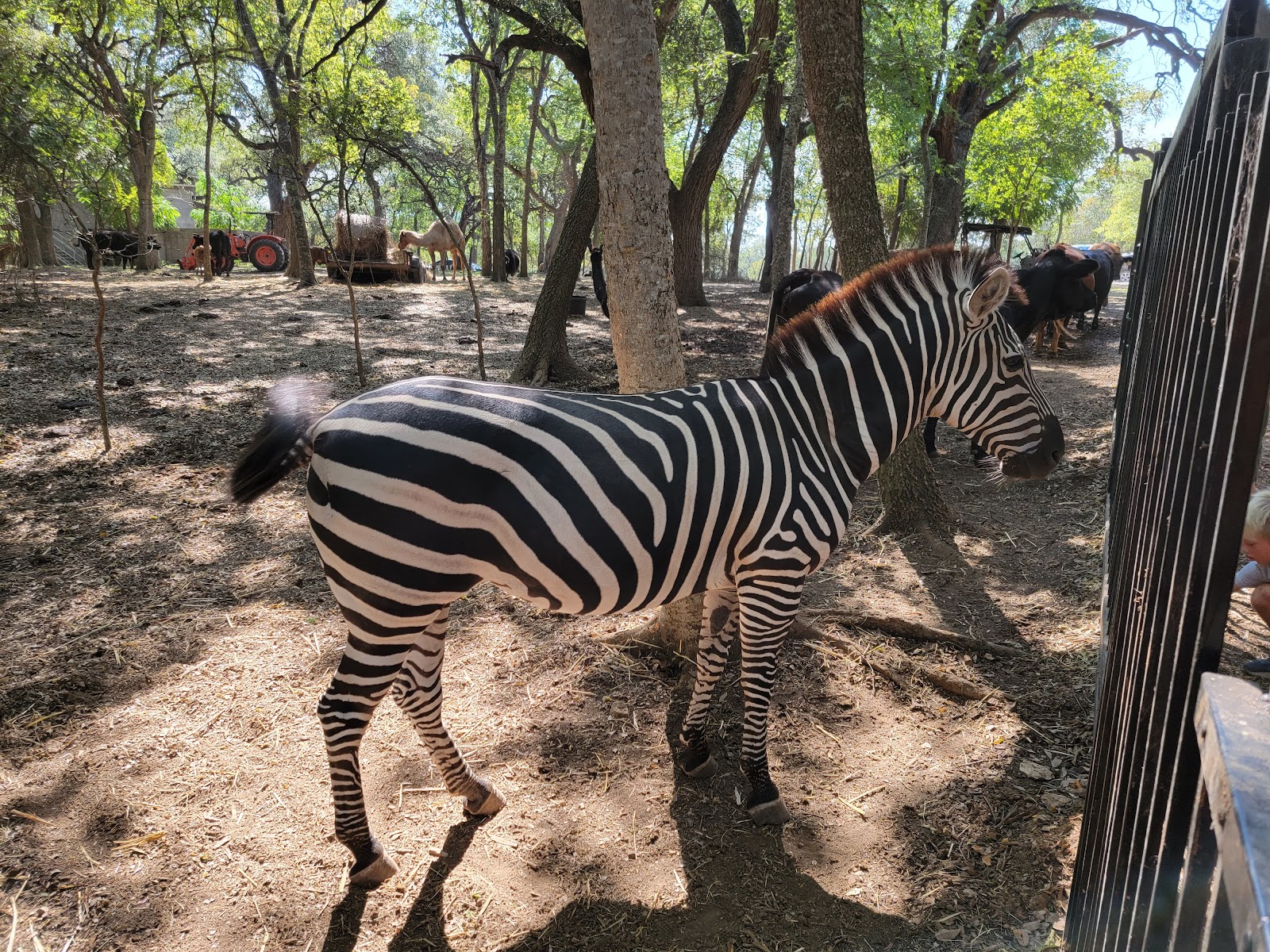 Indian Springs Ranch