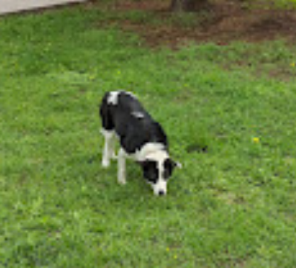 Eagle Creek RV Resort