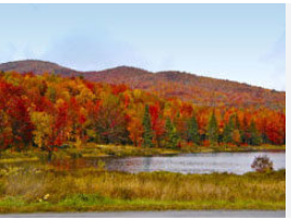 Hazen’s Notch Campground