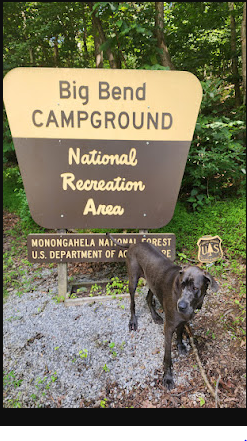 Big Bend Campground