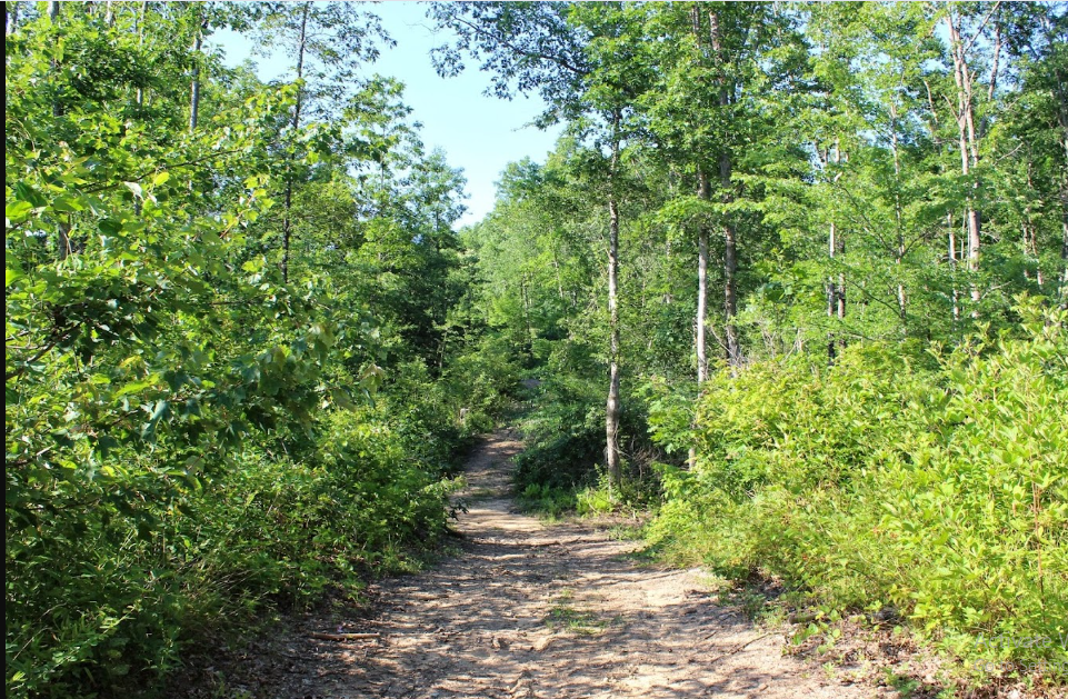 Davy Crockett Campground