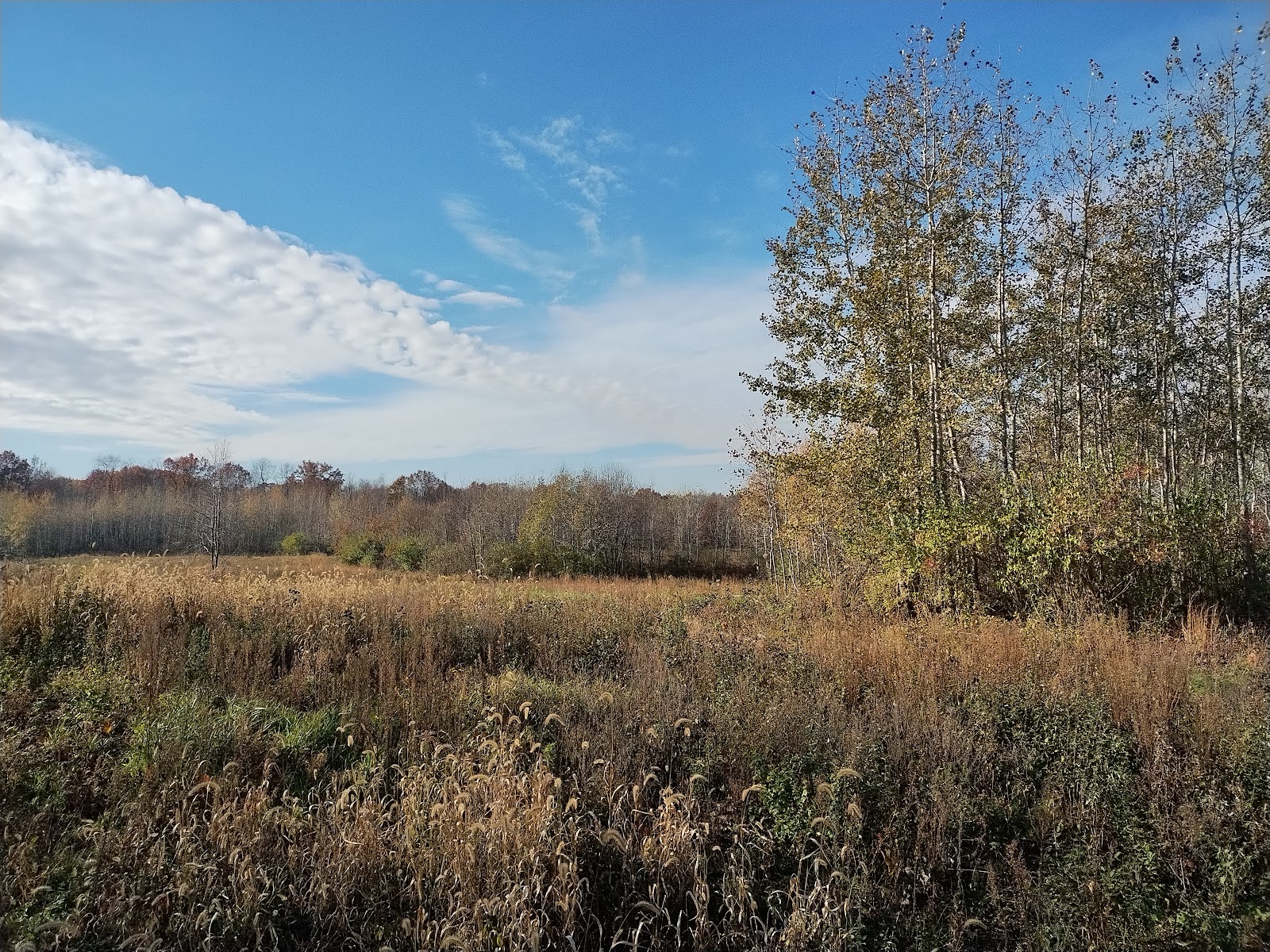 Matsell Bridge Natural Area